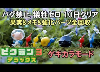 バグ禁止ゲキカラ10日クリア 果実 メモ 強化パーツ全回収 無犠牲 L ピクミン3DX