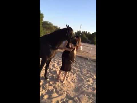 سارة والحصان جمانة