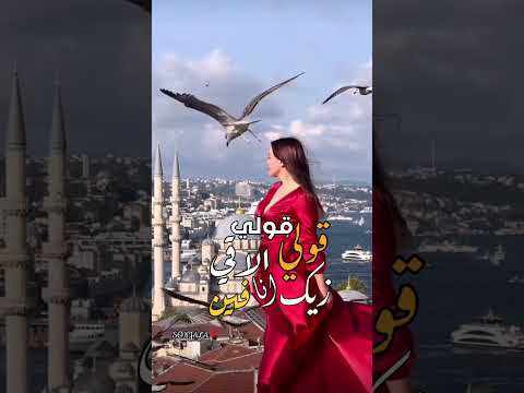 حالات واتساب وانستغرام للحبيب قولي ألاقي أنا زيك فين