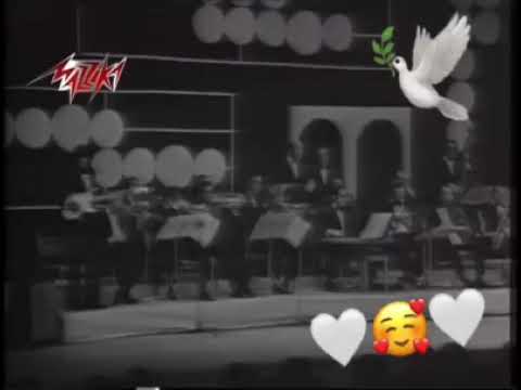 عمر خورشيد المقطوعه اللي جننت الجمهور وطلب اعادتها ٣ مرات