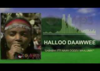  Haloo Daawwee Oromo Music Sababni Itti Nan Ooddu Maalumaa