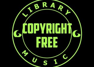  COPYRIGHT FREE FormantX Our Last Stand AUDIO