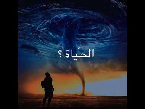 حآلآت وآتس آب مـرحة لآ تندم ع شـي وتذكر