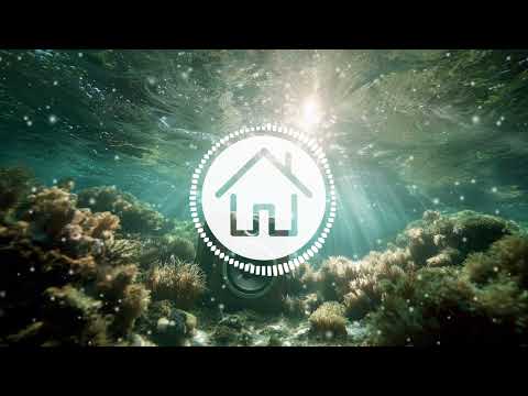 KSHMR Bassjackers Avancada Bass Down Low Feat DEV Go Version