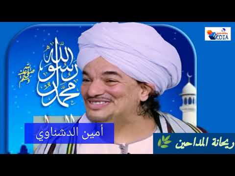 صل يا رب وسلم دائما أبدا روائع الشيخ أمين الدشناوي
