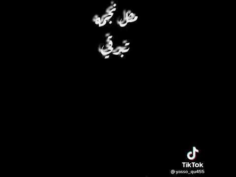 اغنية كان ودي نلتقي في حياتي تشرقي