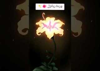 وردة ربانزل