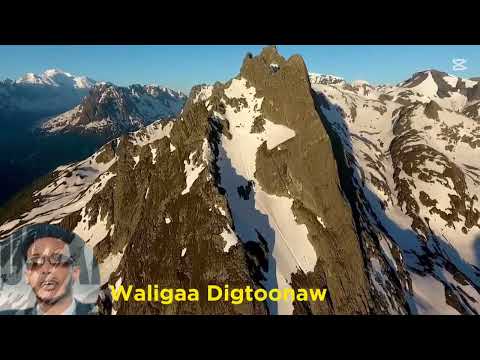 DAA UUD XANFAR HEES WARDA NEW SONG MUSIC VIDEO OFFICIAL 2025