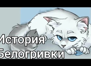 История Белогривки Коты воители