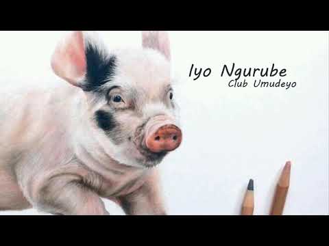 Iyo Ngurube Lyrics Club Umudeyo