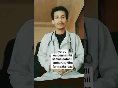 Wal Qunnamtii Saalaa Dafanii Xumuru Dhiira Furmaata Oromoo Oromo Shorts