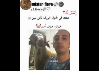  طلع صوت الخروف أسد الربح من اليوتيوب تفاعل ضحك ستوريات أسئلة خروف عيد ميستر فلورا أنستا باسم
