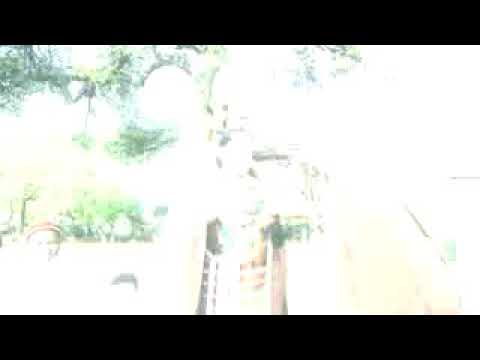 Siba Haraya Addaa Arsi Kan Akan Namati Tolu Lala