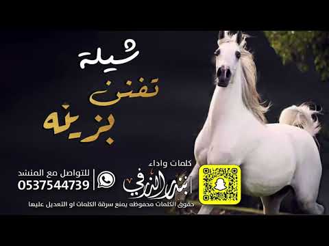 تفنن بزينه وقولو ماشاءالله كلمات واداء بندر الذرفي تفنن بزينه وقولو ماشاءالله كلمات واداء بندر الذرفي