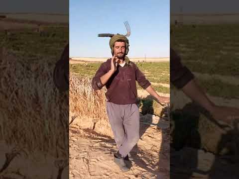 واعطاني ربي الحمد لله وادي سوف الجزائر