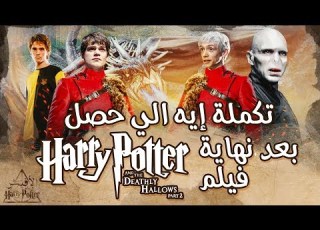  Part 2 The Poster Channel Harry Potter Continuation What Happened Next