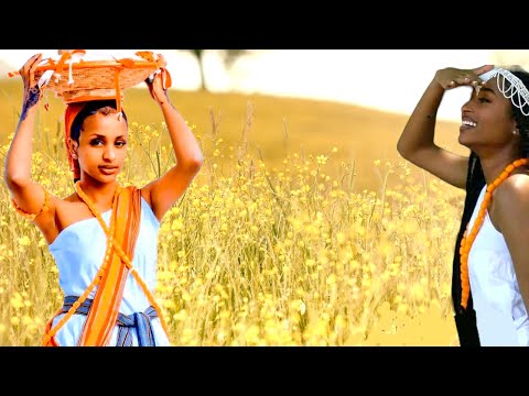Almaaz Tafarraa Guraacha Ko Bonaa Lovely Old Oromo Music