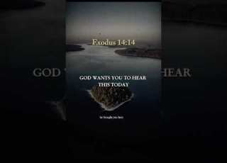 March 14 2026