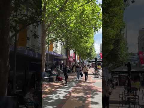 Hobart People Of Hobart In CBD