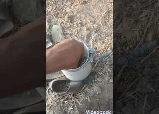 تله خوک برای شکار خوک وگراز