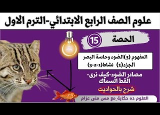 المفهوم 3 الدرس الاول الضوء وحاسة البصر