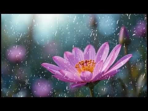 Whisper Of The Breeze I Piano Instrumental