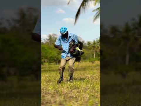 NOMA SANA Trending Comedy Funny Lupyanaclassic1818