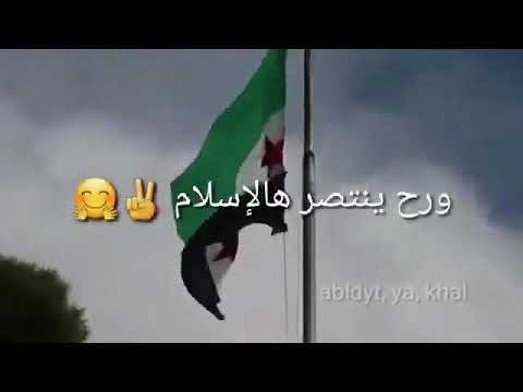 يابشار وياحرامي حقك صار تلت صرامي