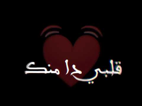 حالات واتس لو البنت قمامير بزياده Halatak حالات واتس لو البنت قمامير بزياده Halatak