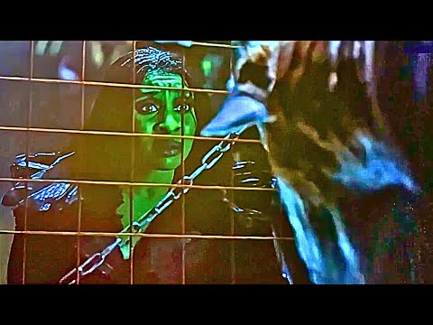 Wicked For Good 2025 Elphaba Frees All The Captured Animals Scene Recap