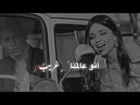 انت عارف يلحبيب