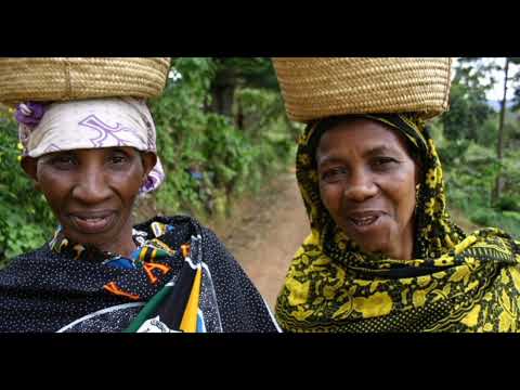 HADITHI YENYE HISTORIA YA WAPARE NA CHIMBULO LAO HADITHI YENYE HISTORIA YA WAPARE NA CHIMBULO LAO