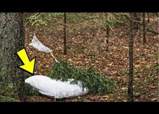 Wanderer Hörte Merkwürdige Schreie Aus Einem Sack Im Wald Als Er Hineinsah War Er Schockiert