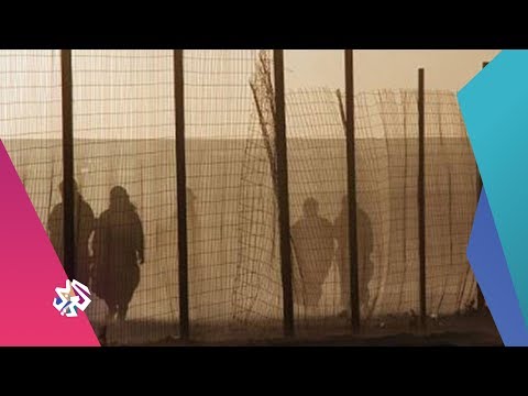 شبابيك الأفارقة في الجزائر تهجير ممنهج شبابيك الأفارقة في الجزائر تهجير ممنهج