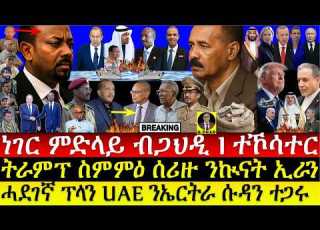 July 08 ነገር ምድላይ ብጋህዲ I ሓደገኛ ፕላን UAE ንኤርትራ ሱዳን I PP Hits Eritrea TPLF I Trump Said Iran MoU Dead