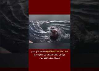  قوة الطبيعة المميتة قصة مغامر سحبه البحر إلى الدوامة