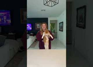 This Did NOT Go As Planned