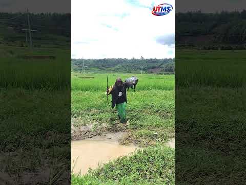 Funny Comedy Learnanewwordtoday Nature Techno