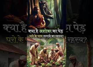 Story Of Ashoka Tree Ashoka Vastuyog Positiveenergy Ashokaplant Saracaasoca Divineaura Aura