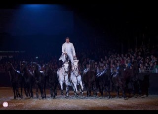 LORENZO INTERNATIONAL HORSE SHOW HD