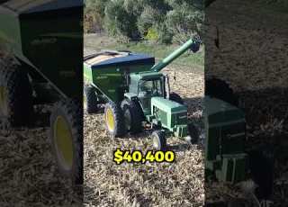  How Much I Made Farming From Scratch 1st Year