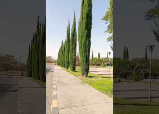 ሀዋሳ ዩኒቨርሲቲ Hawasa University
