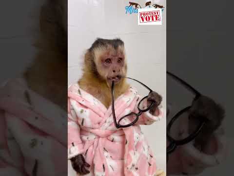 Du Willst Mich Vom Fasten Abhalten