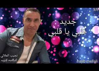  جديد نجيب الملالي قلبي يا قلبي أسمع النغمة الاصلية