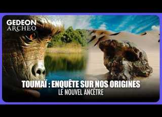  Toumaï Le Plus Ancien D Entre Nous DOC COMPLET