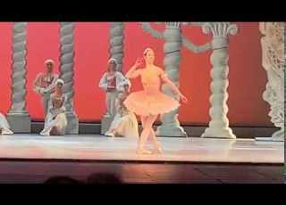 Sugar Plum Fairy Solo From The Nutcracker Jolanta Lubeja