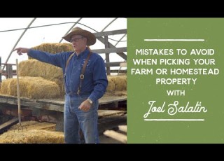 Mistakes To Avoid When Picking Your Farm Or Homestead Property Joel Salatin