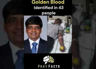 The Golden Blood Interestingfacts Fact Trending Viral Amazing Amazingfacts