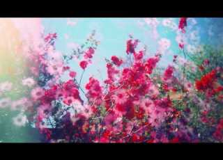 PARTYNEXTDOOR Ron Cater Unreleased