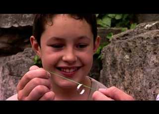 Stephen Mulhern S Magic Tricks On Tricky TV Season 2 Episode 11 Stephen Mulhern S Powers